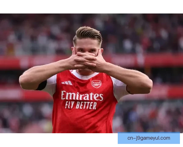 没机会恩瓦内里成阿森纳牺牲品